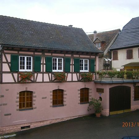 Gite Au Nid De Cigognes Villa Dieffenthal Eksteriør bilde
