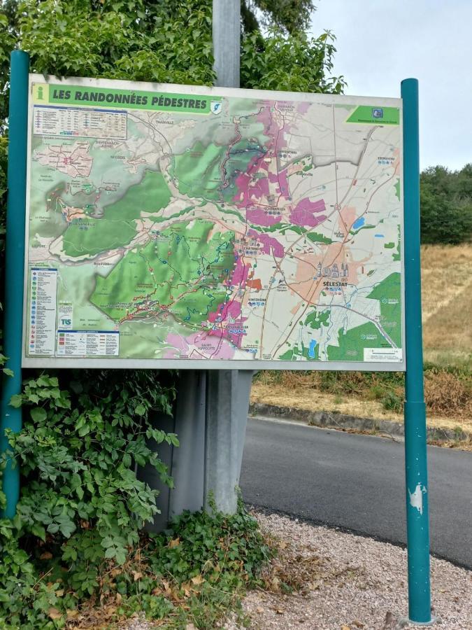 Gite Au Nid De Cigognes Villa Dieffenthal Eksteriør bilde