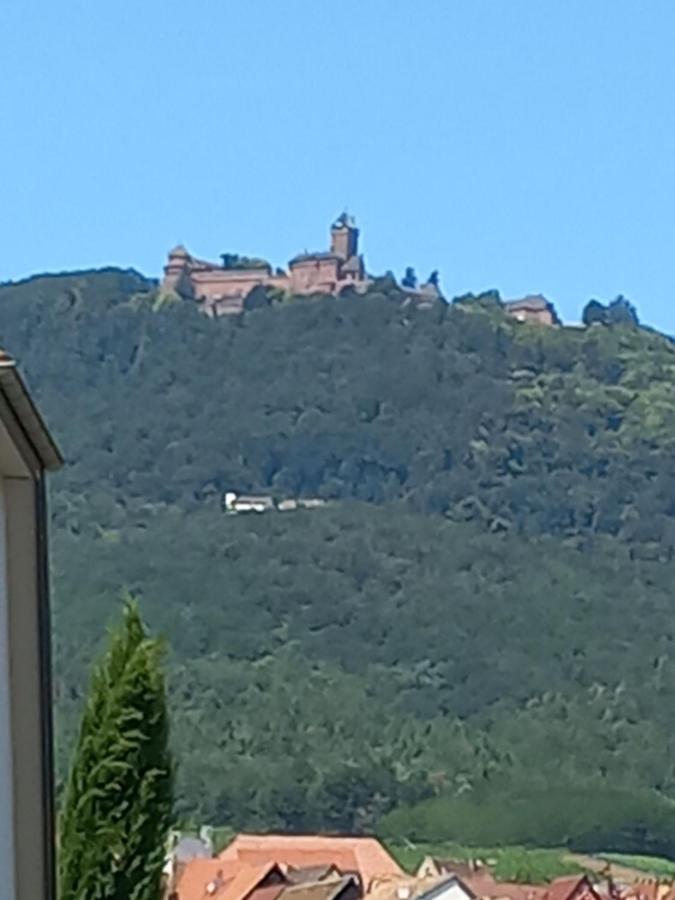 Gite Au Nid De Cigognes Villa Dieffenthal Eksteriør bilde
