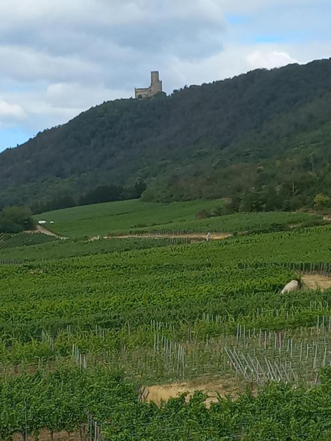 Gite Au Nid De Cigognes Villa Dieffenthal Eksteriør bilde
