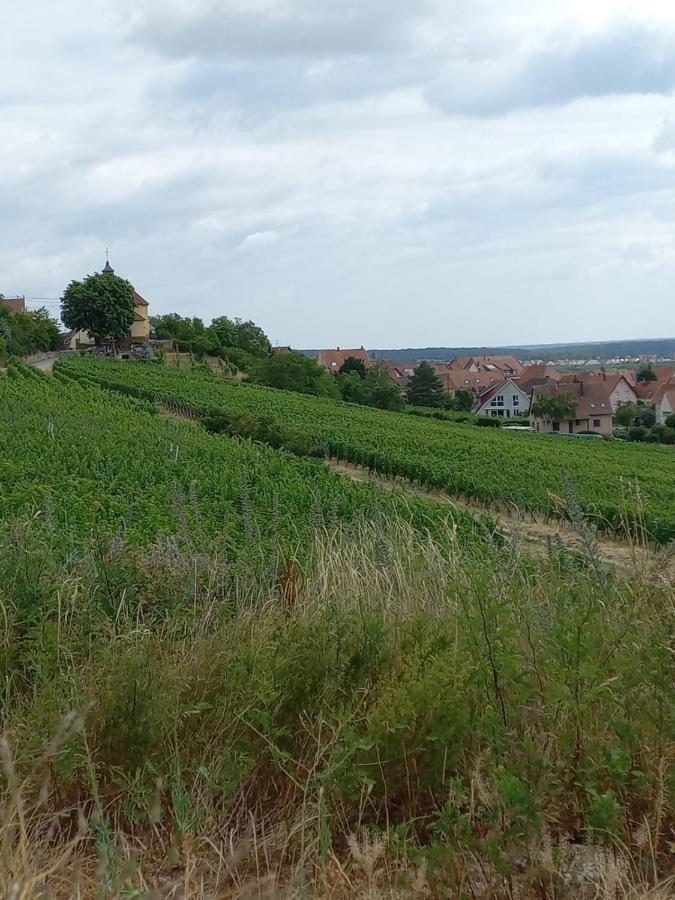 Gite Au Nid De Cigognes Villa Dieffenthal Eksteriør bilde