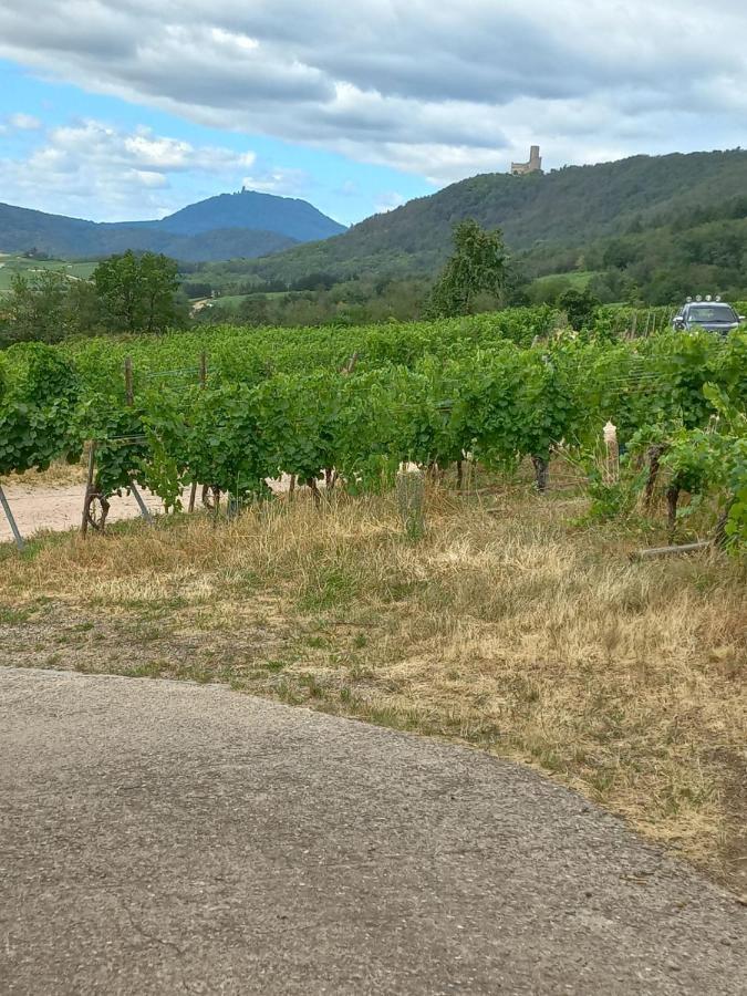 Gite Au Nid De Cigognes Villa Dieffenthal Eksteriør bilde