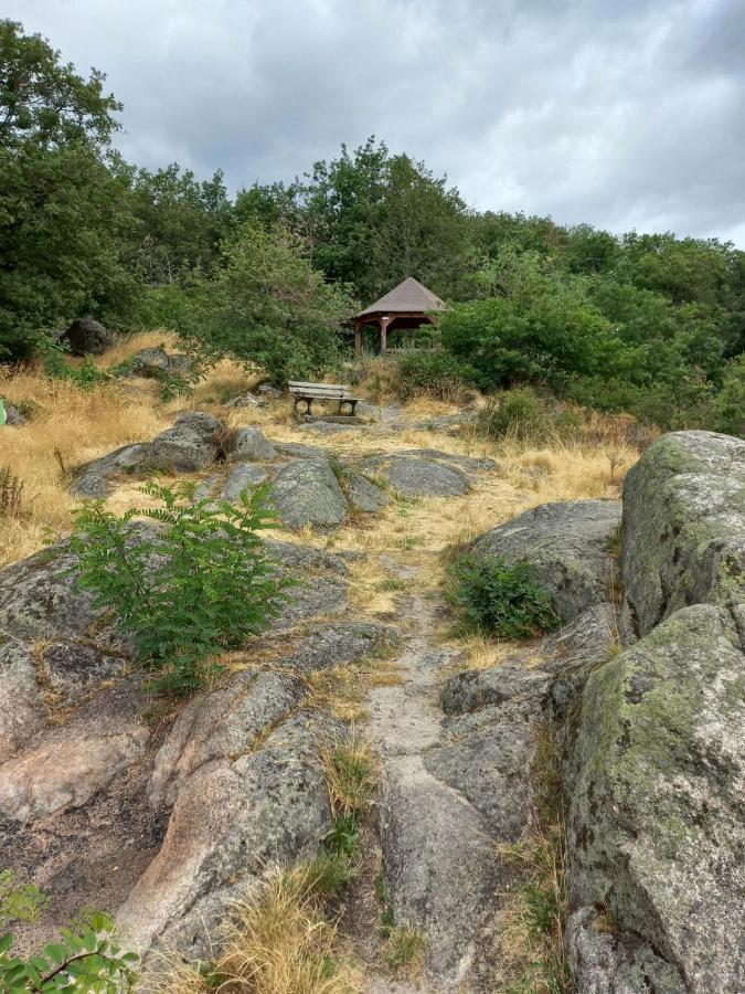 Gite Au Nid De Cigognes Villa Dieffenthal Eksteriør bilde
